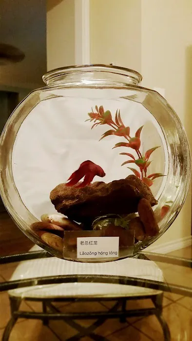 Xtreme Fish & Pets Picture 3