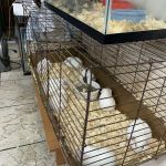 Xtreme Fish & Pets