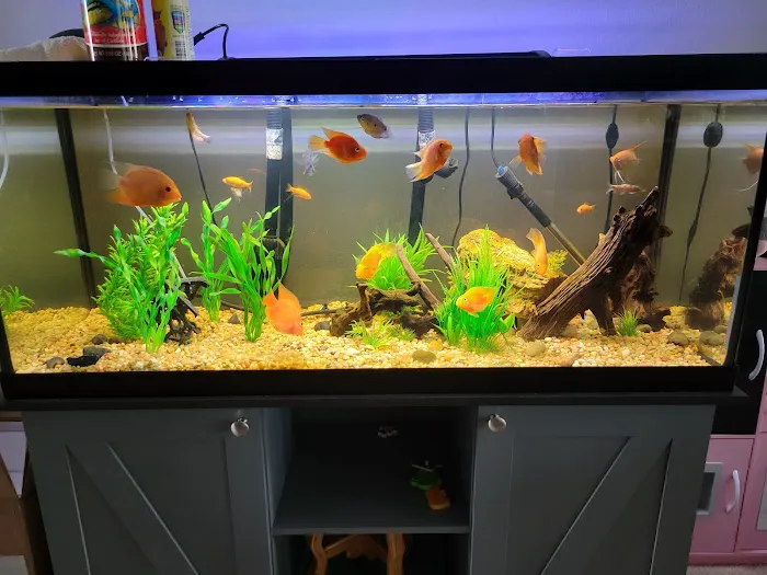 Xtreme Fish & Pets Picture 5