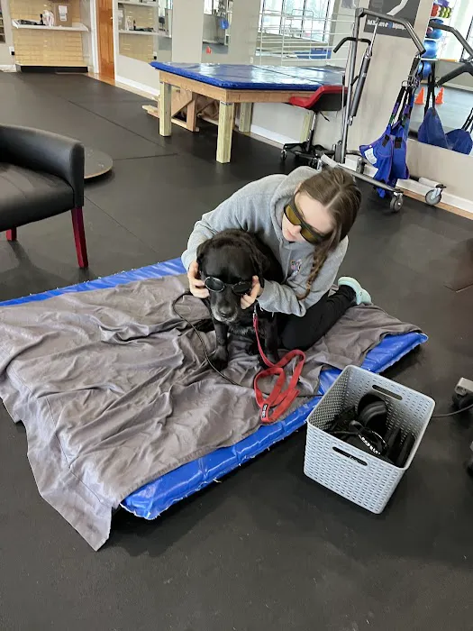 Healing Hands 4 Paws Picture 2