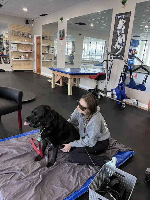 Healing Hands 4 Paws Picture 5