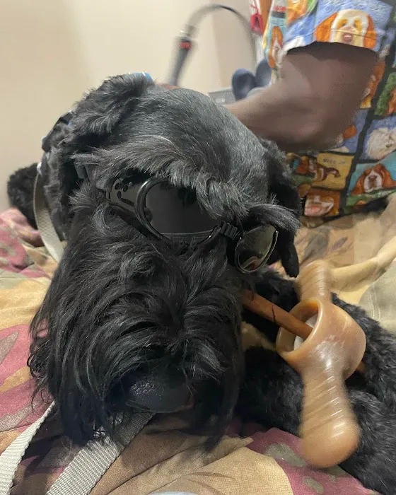 Healing Hands 4 Paws Picture 4
