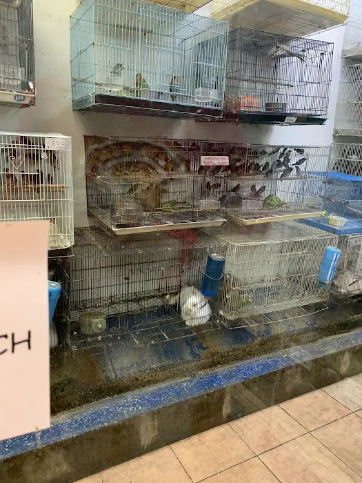 Fish-N-Pets Unlimited Picture 3