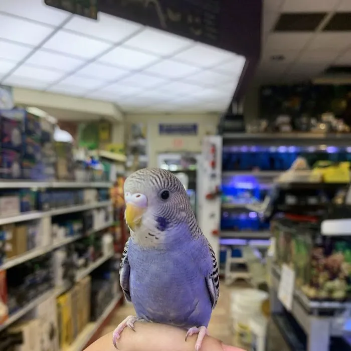 Fish-N-Pets Unlimited Picture 4