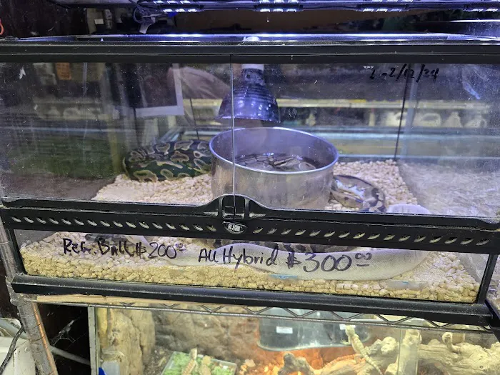 Fish-N-Pets Unlimited Picture 2