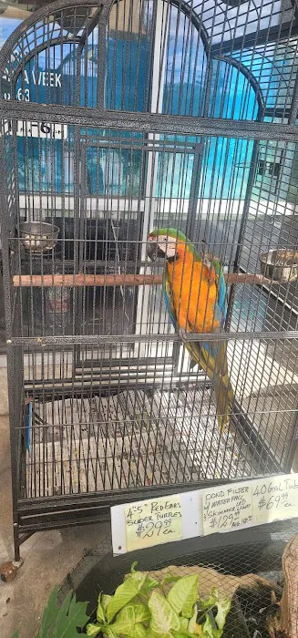 Fish-N-Pets Unlimited Picture 8
