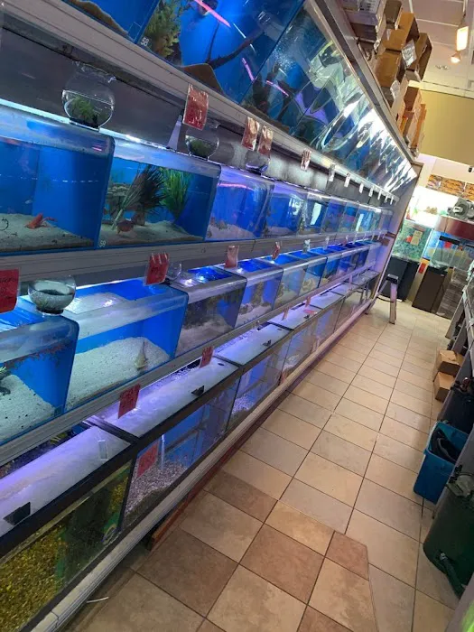 Fish-N-Pets Unlimited Picture 10