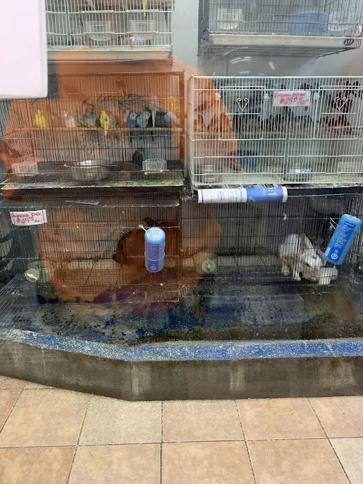 Fish-N-Pets Unlimited Picture 6