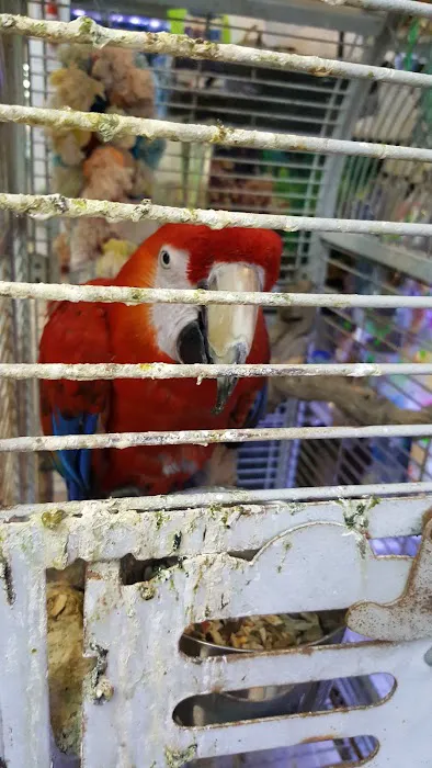 Fish-N-Pets Unlimited Picture 7