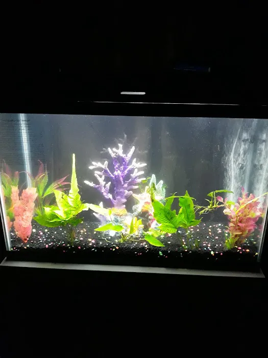 Benchmark Aquariums Picture 1