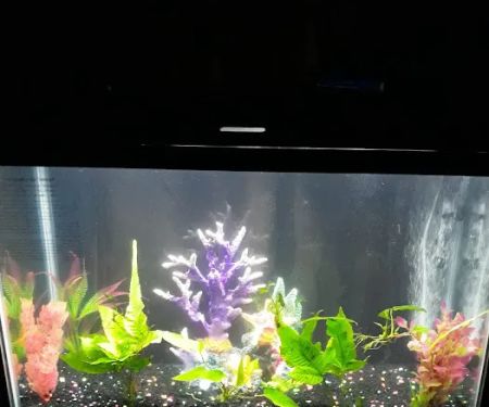 Benchmark Aquariums