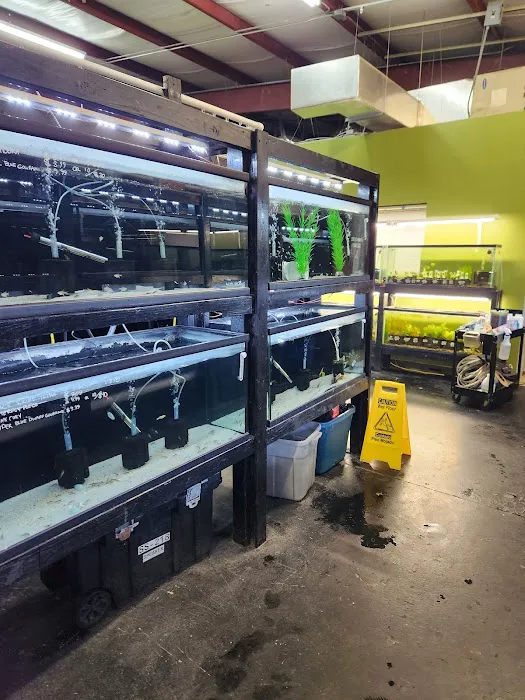 Houston Aquarium Warehouse Picture 6
