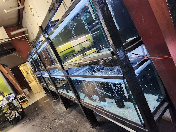 Houston Aquarium Warehouse Picture 7