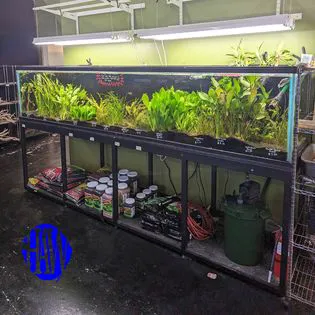 Houston Aquarium Warehouse Picture 10