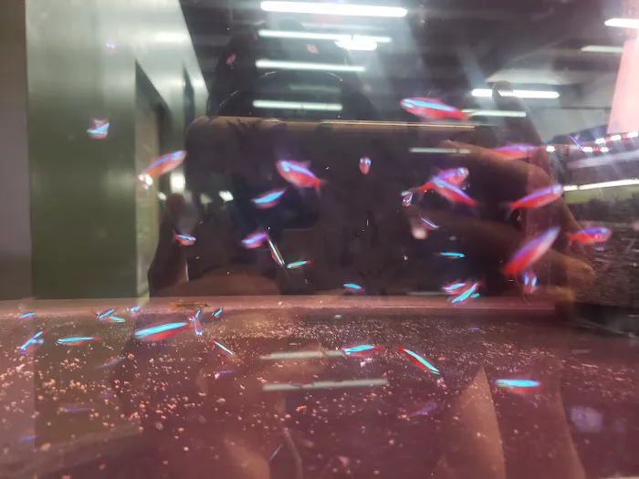 Houston Aquarium Warehouse Picture 5