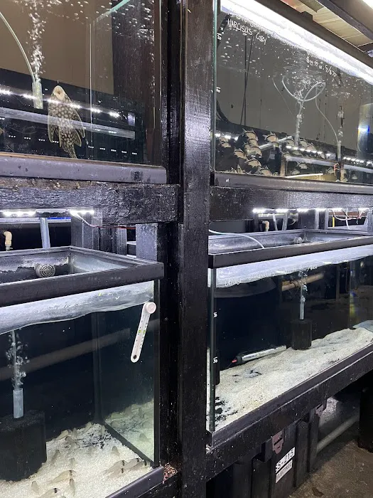 Houston Aquarium Warehouse Picture 9