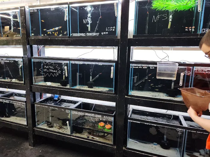 Houston Aquarium Warehouse Picture 4