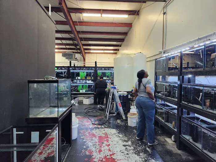 Houston Aquarium Warehouse Picture 2