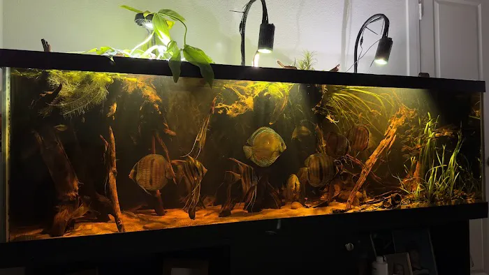 Houston Aquarium Warehouse Picture 3