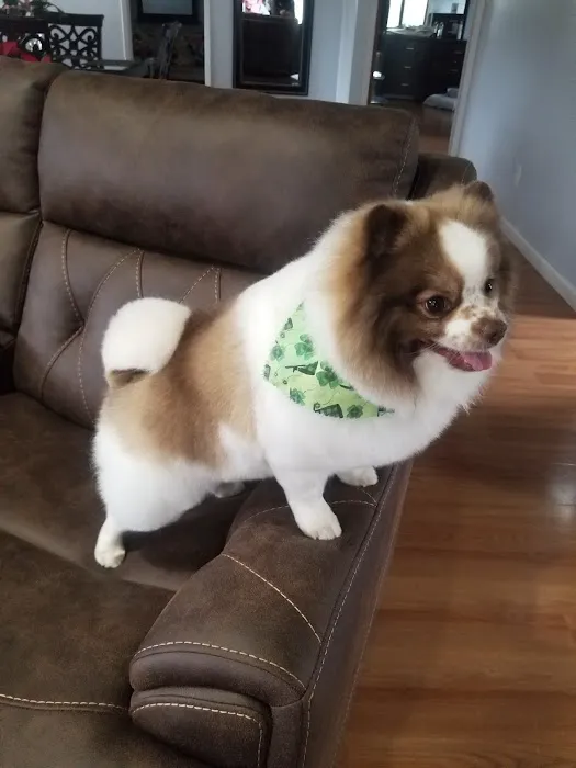 Banfield Pet Hospital Picture 6