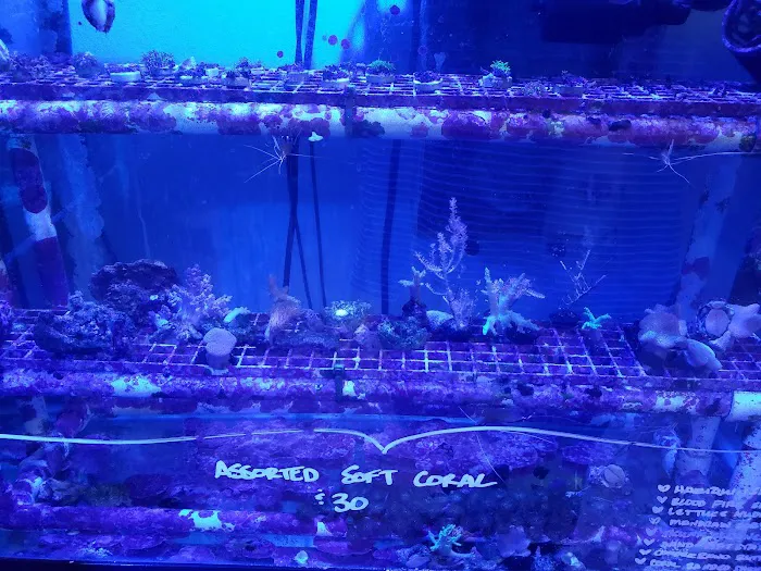 Infinity Fish LLC Picture 8