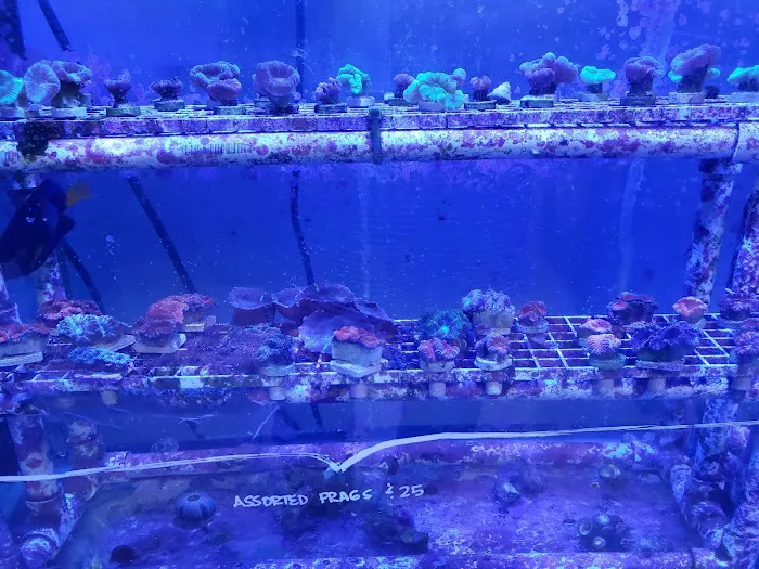 Infinity Fish LLC Picture 6