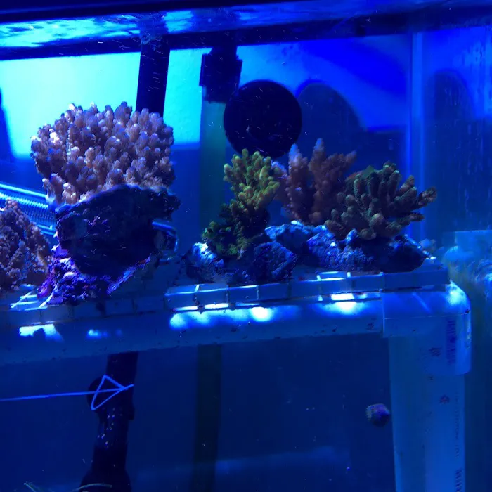 Infinity Fish LLC Picture 1