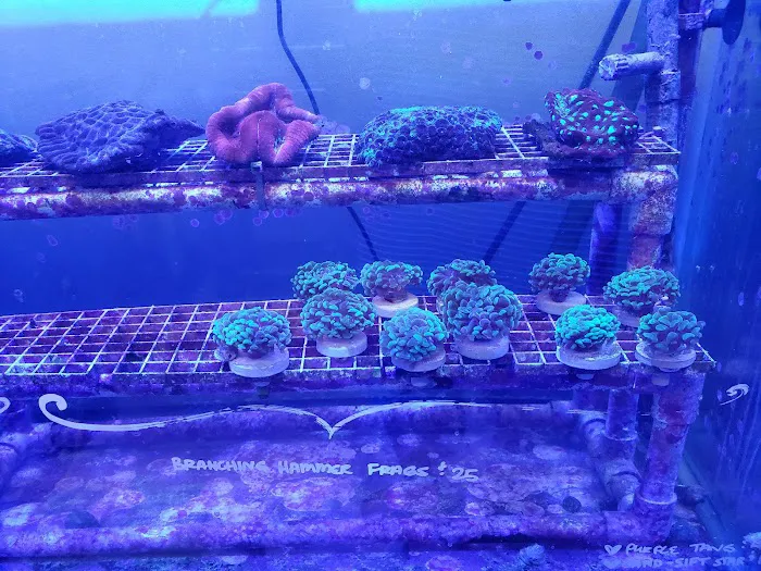 Infinity Fish LLC Picture 4