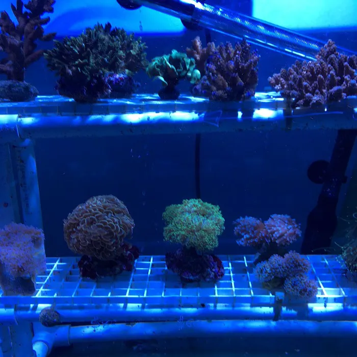 Infinity Fish LLC Picture 10