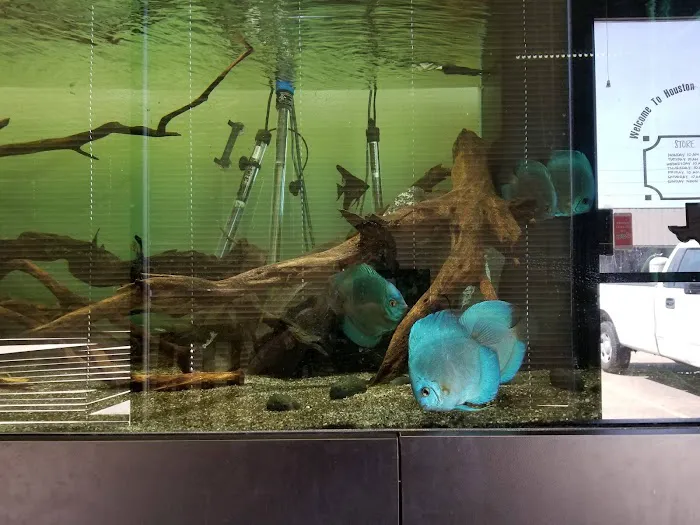Infinity Fish LLC Picture 5