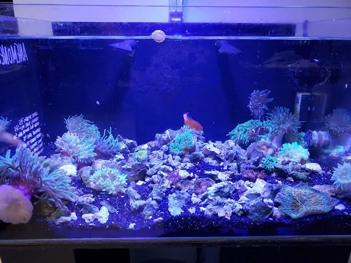 Infinity Fish LLC Picture 7