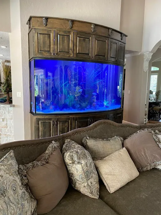 Aquariums Ponds And Services Picture 1