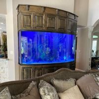 Aquariums Ponds And Services ico