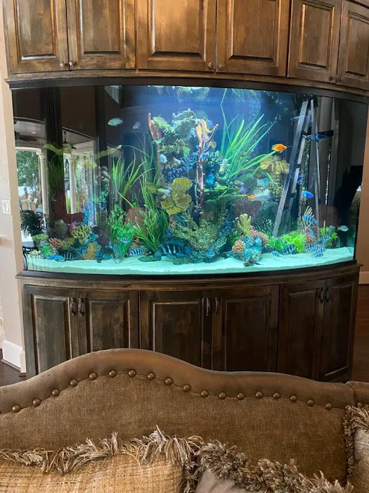 Aquariums Ponds And Services Picture 2