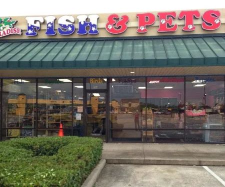 Paradise Fish And Pets
