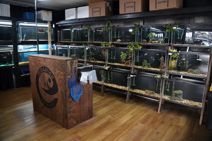 Paradise Fish And Pets Picture 5