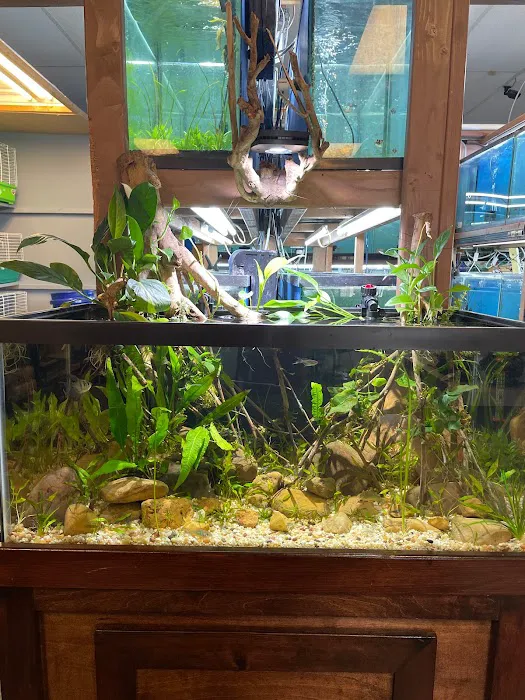 Paradise Fish And Pets Picture 10
