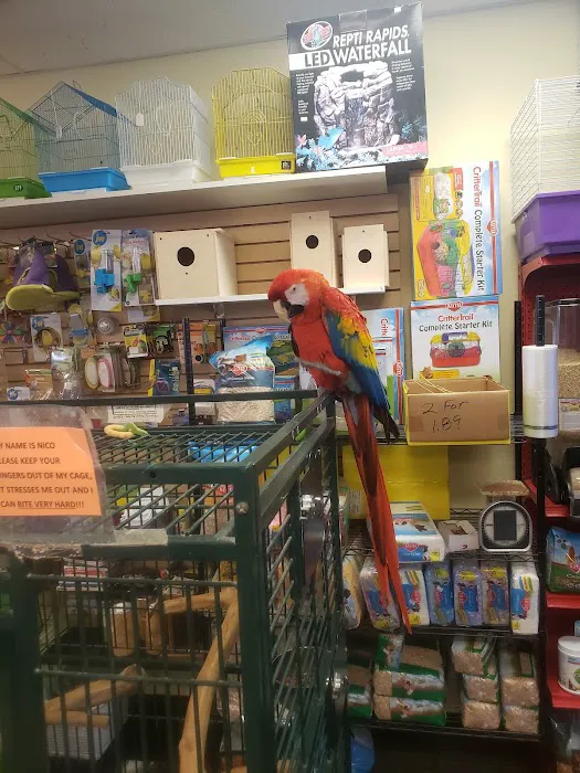 Paradise Fish And Pets Picture 8