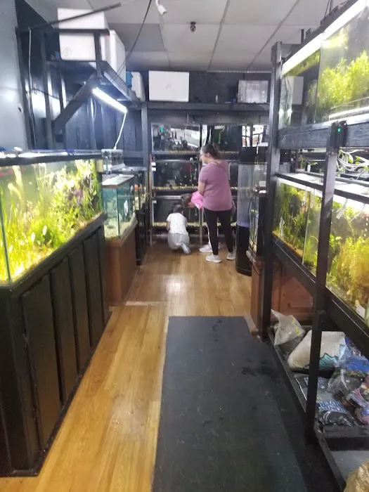 Paradise Fish And Pets Picture 7