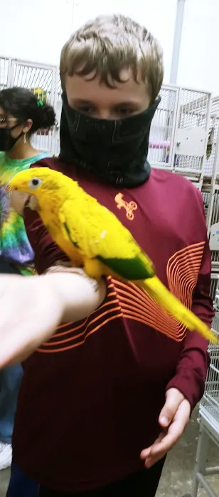 ABC BIRDS Picture 3