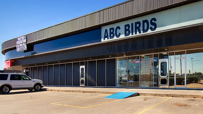 ABC BIRDS Picture 2