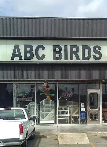 ABC BIRDS Picture 7