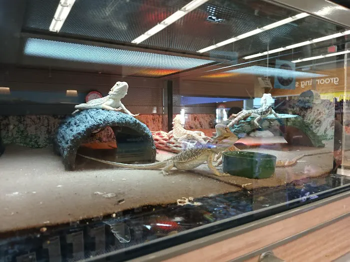 Petco Picture 4