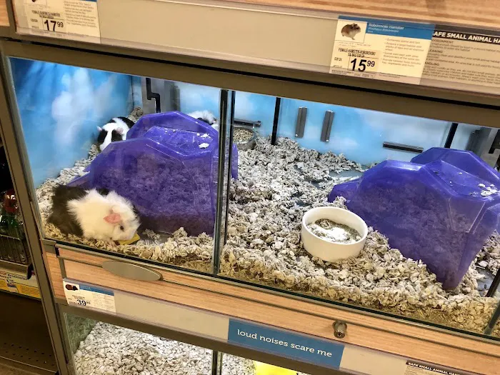Petco Picture 2