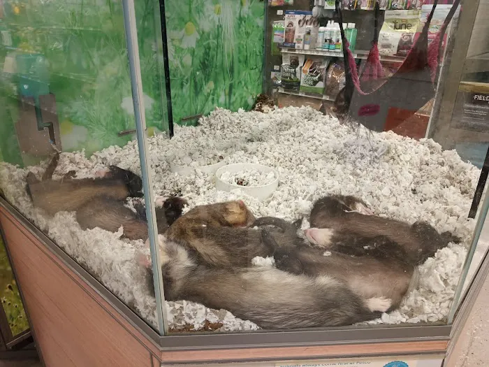 Petco Picture 8