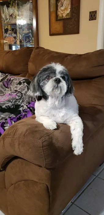 Petco Picture 5