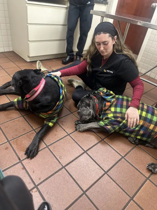 Deer Park Animal Hospital Picture 8