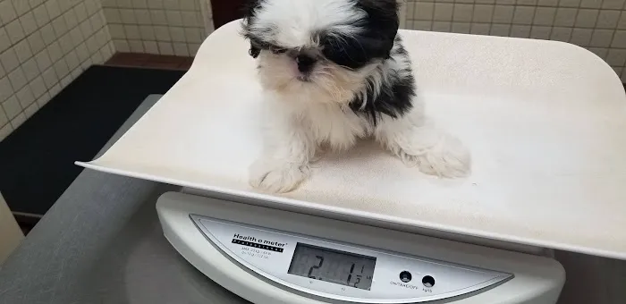 Deer Park Animal Hospital Picture 3