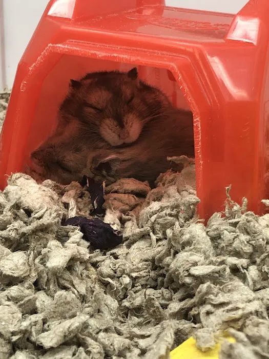 Petco Picture 9