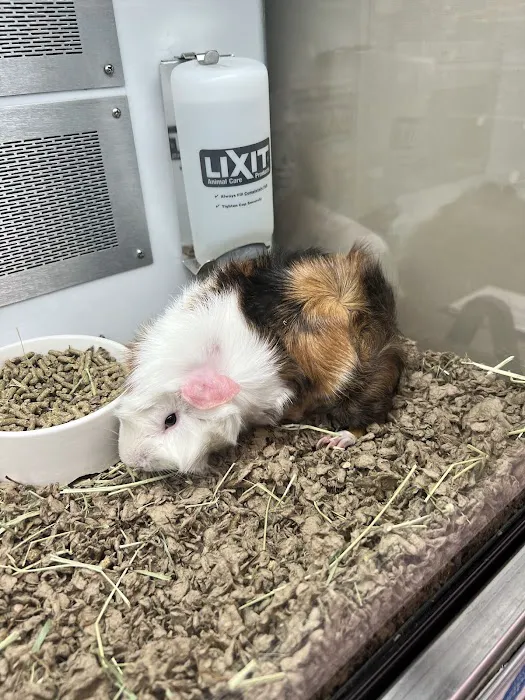 Petco Picture 2